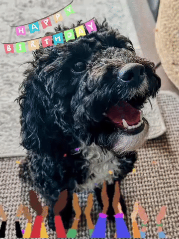 Celebrate Happy Birthday GIF