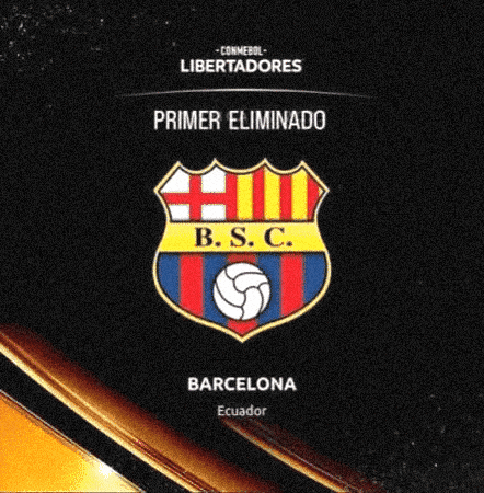 Liga De Quito Libertadores GIF