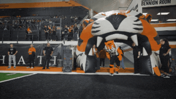 Football Benny GIF by Idaho State University