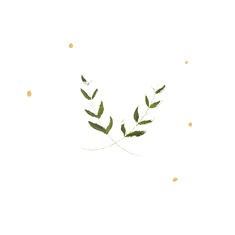 Animated Sticker