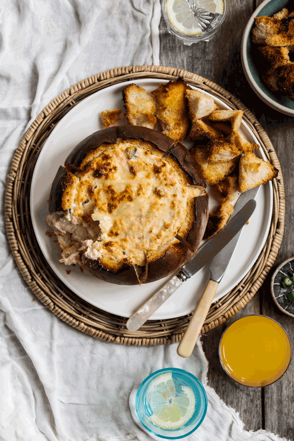 Huon Salmon GIF Find & Share on GIPHY