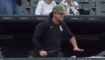 Major League Baseball Mlb GIF