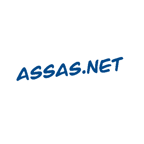 Assasnet Sticker