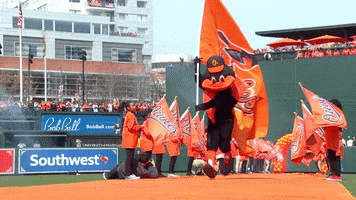 Mascot Oriole GIF by Baltimore Orioles