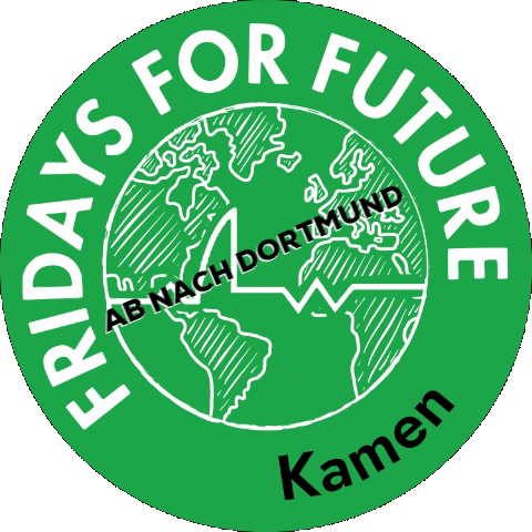 Fridays for Future Kamen Sticker