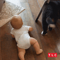 Little People Big World Baby Gif By Tlc Europe Find Share On Giphy