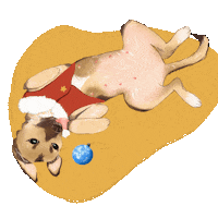 athaisrangel dog natal roupa Sticker