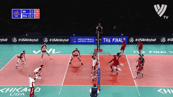 King Save GIF by Volleyball World