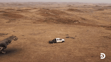 T-Rex Dinosaur GIF by Discovery