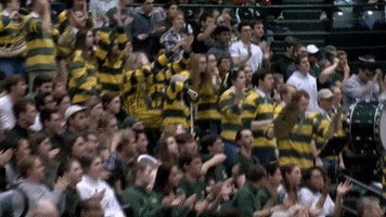 Band Crowd GIF by William & Mary Tribe Athletics