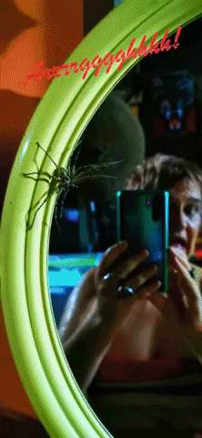 Spider GIF