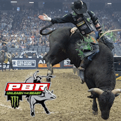 Wcra GIF by Professional Bull Riders (PBR)