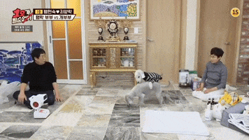 Animated GIF