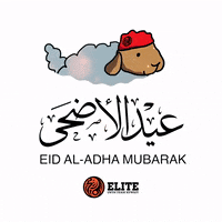 Eid Al Adha Holiday GIF by Elite Swim Team Kuwait