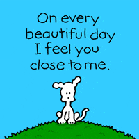I Love You Have A Beautiful Day GIF by Chippy the Dog