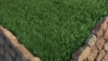 Charlize Theron GIF