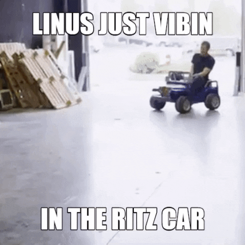 linus linus tech tips plies ritz car GIF