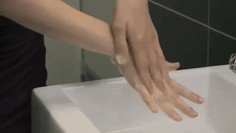 Wash Hands Safety GIF - Find & Share on GIPHY
