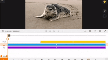 Overlays GIF