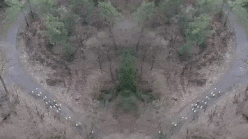 OWC Oldenzaal GIF