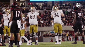 College Football Fist Bump GIF by Notre Dame Fighting Irish