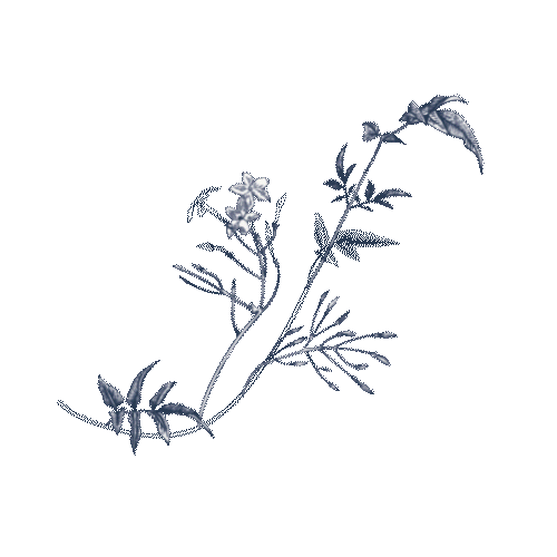 NightingalebyBeefbar Sticker