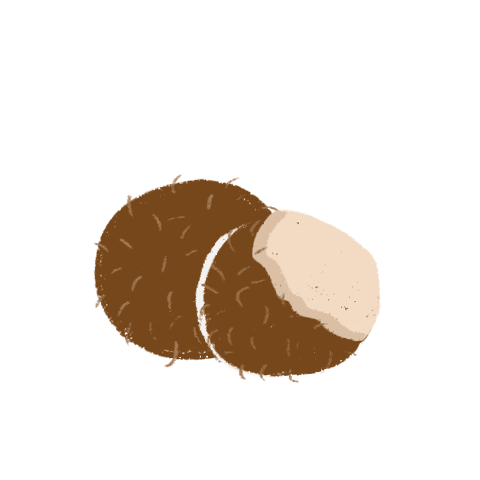 Summer Sticker