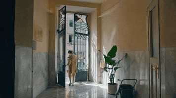 hokusfilm jazz cleaning doors babylon GIF