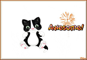 Awesome Cats GIF