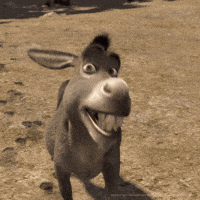 No Donkeys GIF - No Donkeys Shrek - Discover & Share GIFs  Burro de shrek,  Gracioso gif, Problemas del primer mundo