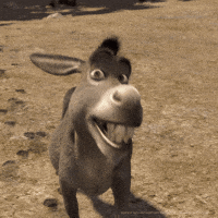Anime Good Morning Gifs Get The Best Gif On Giphy anime good morning gifs get the best