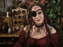 piratesparley pirate parrot pirates polly GIF