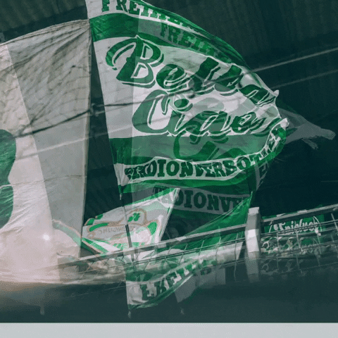 SpVgg Fürth GIF