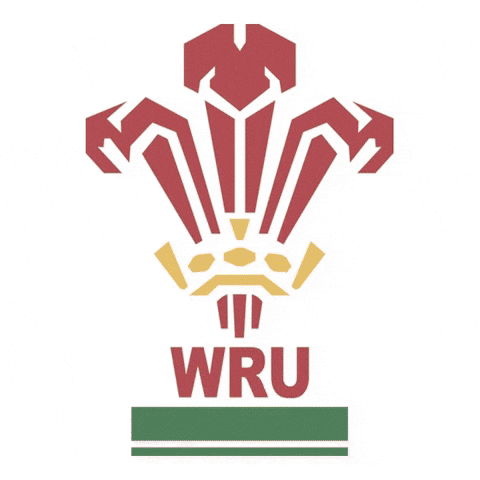 Welsh Rugby GIF by Exposed Tech
