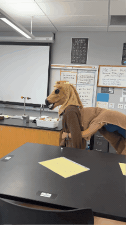 Iwu Horseplay GIF
