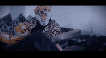 Party Rock GIF by Pure Noise Records