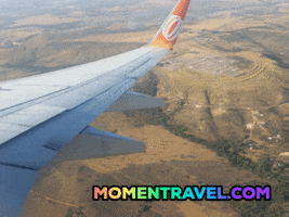 Aviao GIF by Momentravel