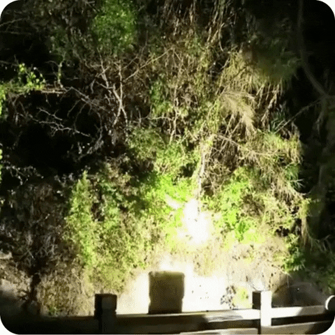 Lanterna LED Portátil