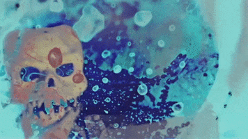 200.gif?cid=fc005b085af8da22b035fe8d64ce4ca5a51ab137dcfb5e03&ep=v1_gifs_random&rid=200.gif&ct=g
