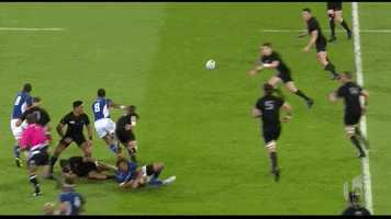 Namibia Rugby GIF by Rugby World Cup