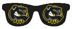 Americanfootball Sticker by Amberg Mad Bulldogs