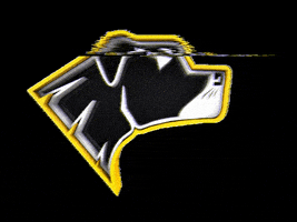 Rio Preto Weilers GIF