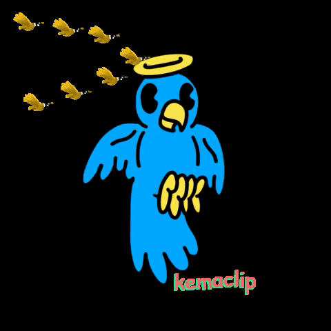 Bird GIF