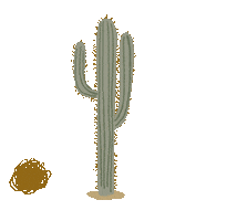 Cactus Desert Sticker by Fifth & Ninth