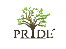 Good Morning Entrepreneur Sticker by Pride Group