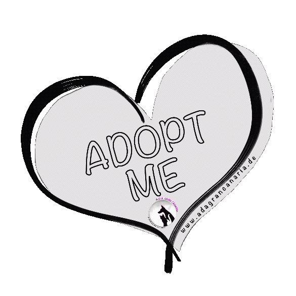 Tierschutz Adoptme Sticker by TierschutzADAGranCanaria