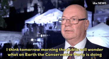 news brexit tory conservative party i think tomorrow morning the public will wonder what on earth the conservative party is doing GIF