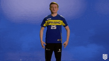Overwatch Reaction GIF by Boston Uprising