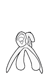 Ears Macarena Sticker by voxxx