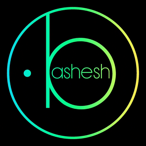 Bashesh GIF